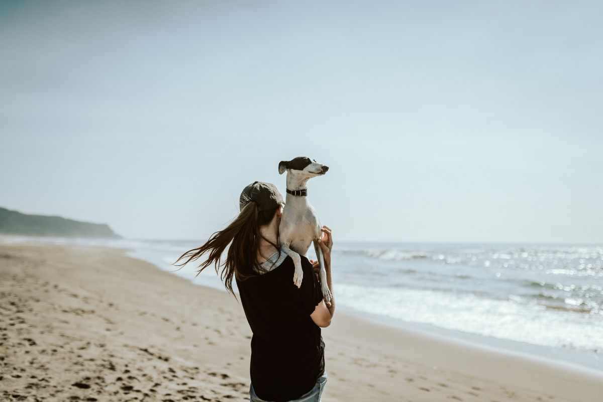 Woman walking along beach holding her dog in her arms