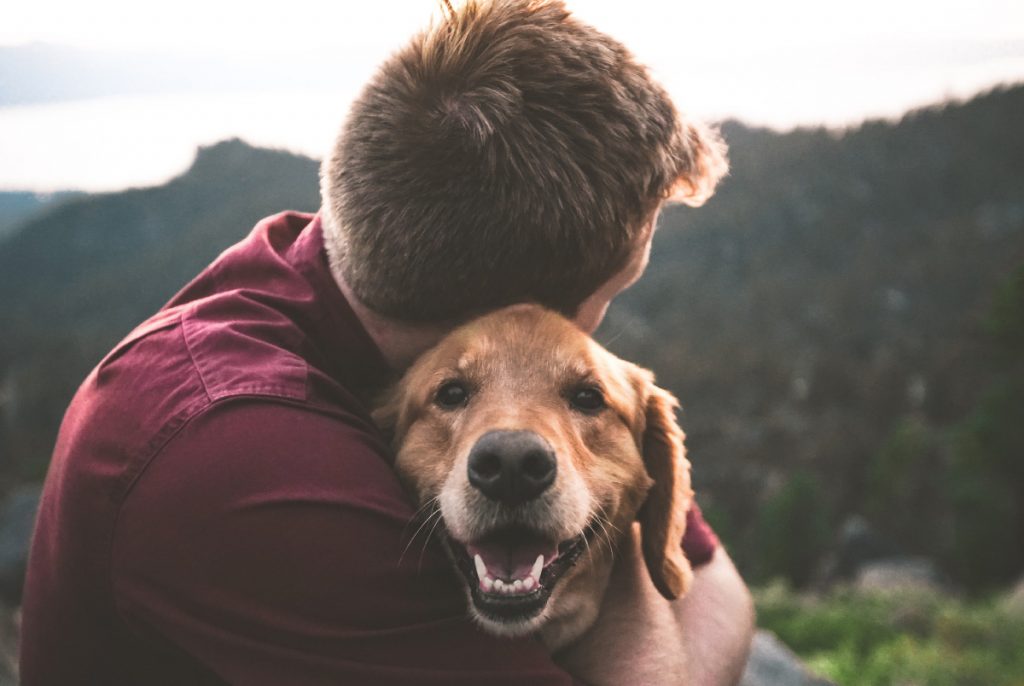My Pet and Me – For People with a Disability