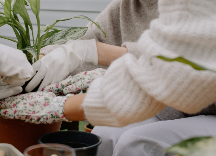 Two people gardening together.