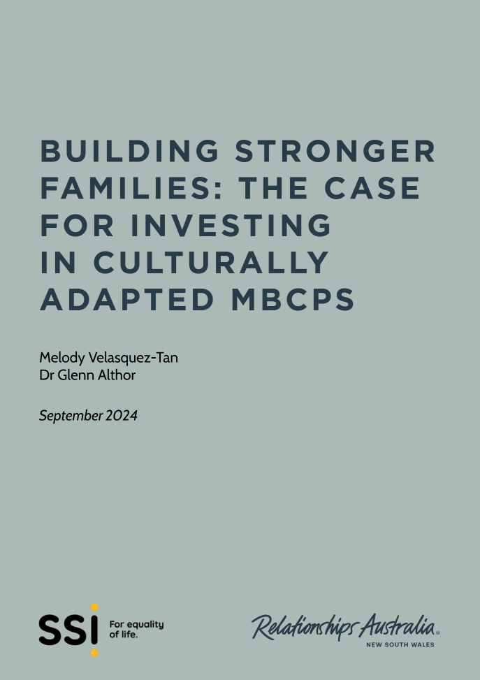 Culturally adapted men's behaviour change programs cover page